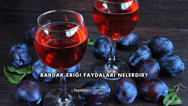 Bardak Eriği Faydaları Nelerdir?