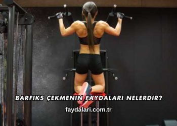 Barfiks Çekmenin Faydaları Nelerdir?