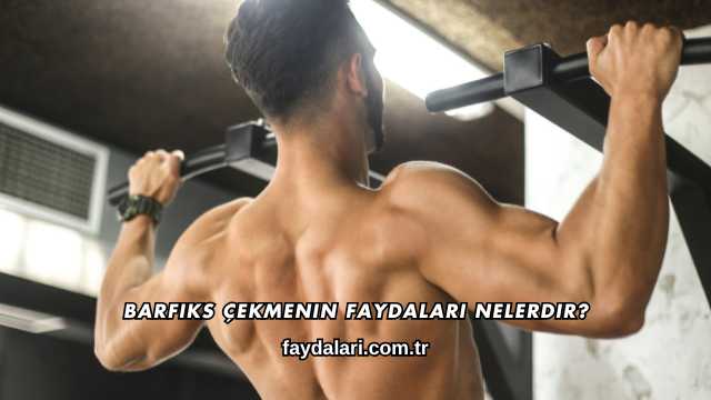 Barfiks Çekmenin Faydaları Nelerdir?