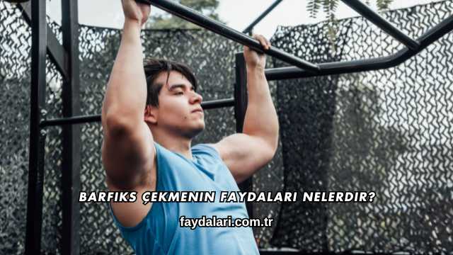 Barfiks Çekmenin Faydaları Nelerdir?