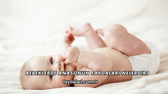 Bebeklerde Anasonun Faydaları Nelerdir?