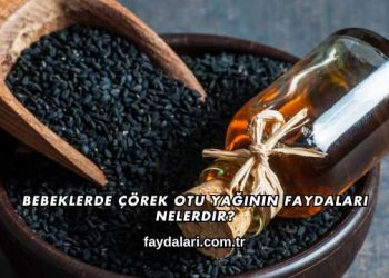Bebeklerde Çörek Otu Yağının Faydaları Nelerdir?