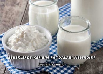 Bebeklerde Kefirin Faydaları Nelerdir?