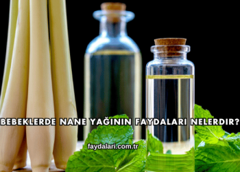 Bebeklerde Nane Yağının Faydaları Nelerdir?