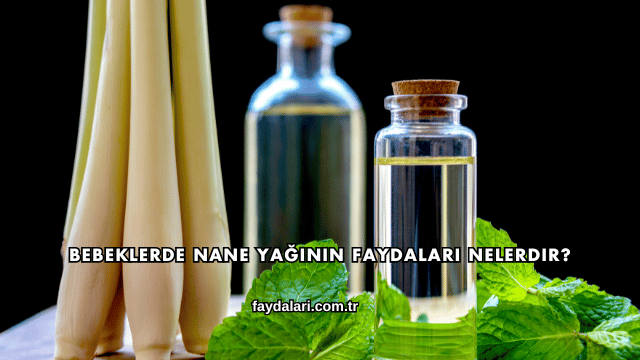 Bebeklerde Nane Yağının Faydaları Nelerdir?
