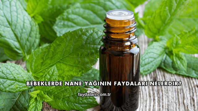 Bebeklerde Nane Yağının Faydaları Nelerdir?
