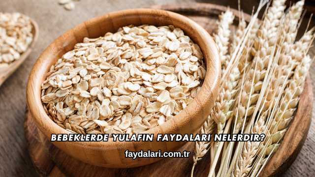 Bebeklerde Yulafın Faydaları Nelerdir?