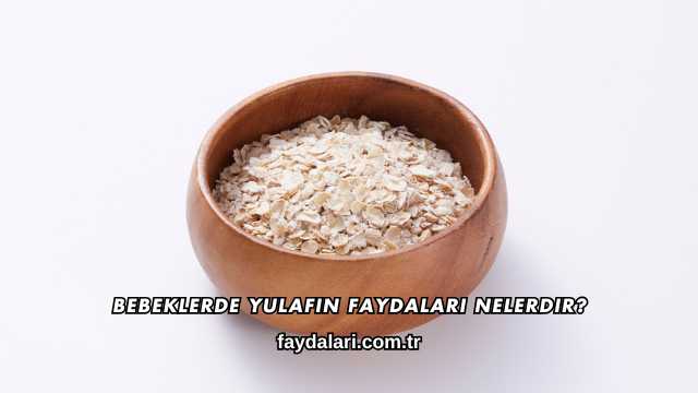 Bebeklerde Yulafın Faydaları Nelerdir?