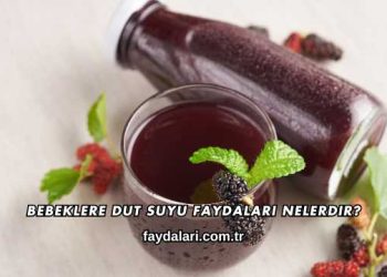 Bebeklere Dut Suyu Faydaları Nelerdir?