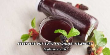 Bebeklere Dut Suyu Faydaları Nelerdir?