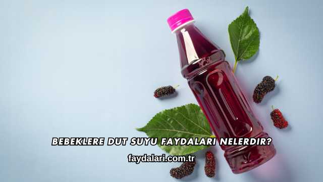 Bebeklere Dut Suyu Faydaları Nelerdir?