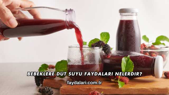 Bebeklere Dut Suyu Faydaları Nelerdir?