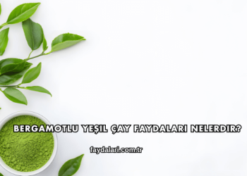 Bergamotlu Yeşil Çay Faydaları Nelerdir?