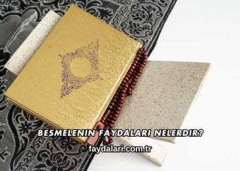 Besmelenin Faydaları Nelerdir?