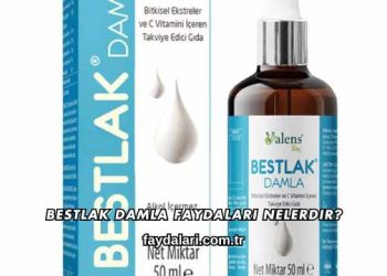 Bestlak Damla Faydaları Nelerdir?