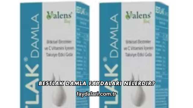 Bestlak Damla Faydaları Nelerdir?