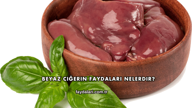 Beyaz Ciğerin Faydaları Nelerdir?