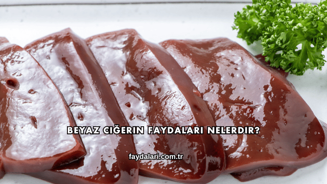 Beyaz Ciğerin Faydaları Nelerdir?