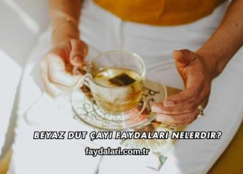 Beyaz Dut Çayı Faydaları Nelerdir?
