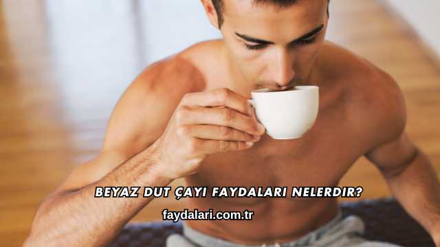 Beyaz Dut Çayı Faydaları Nelerdir?
