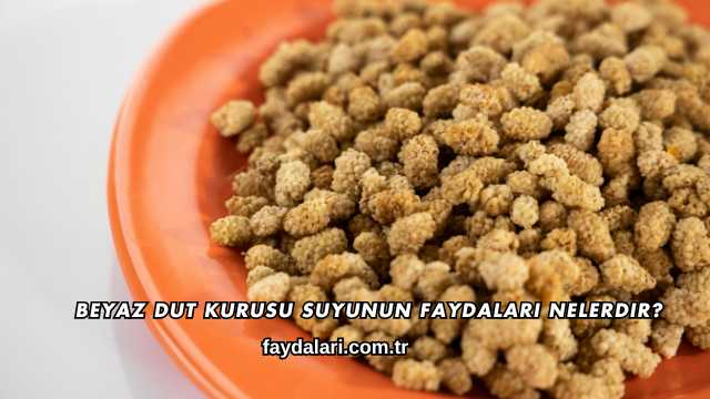 Beyaz Dut Kurusu Suyunun Faydaları Nelerdir?