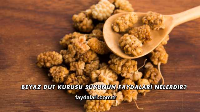 Beyaz Dut Kurusu Suyunun Faydaları Nelerdir?