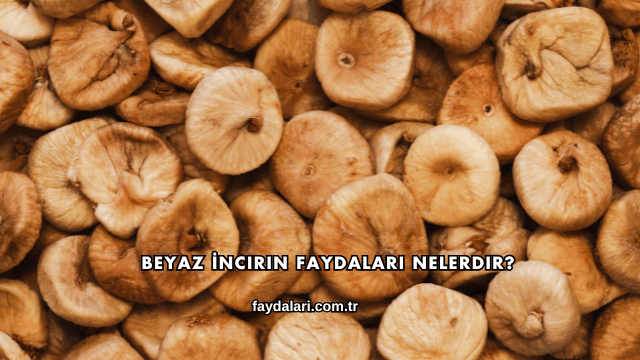 Beyaz İncirin Faydaları Nelerdir?
