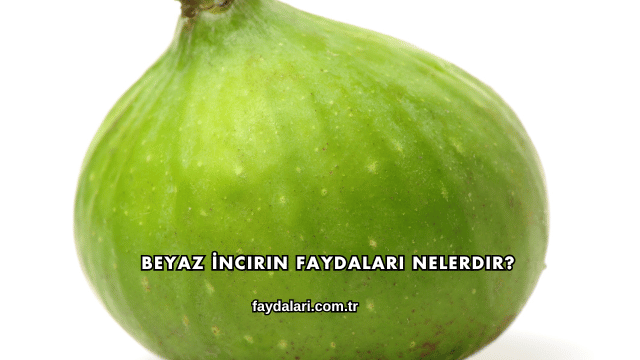 Beyaz İncirin Faydaları Nelerdir?