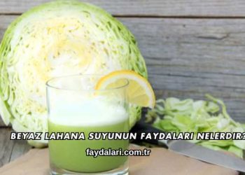 Beyaz Lahana Suyunun Faydaları Nelerdir?