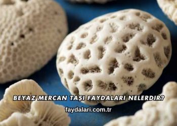 Beyaz Mercan Taşı Faydaları Nelerdir?