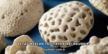 Beyaz Mercan Taşı Faydaları Nelerdir?