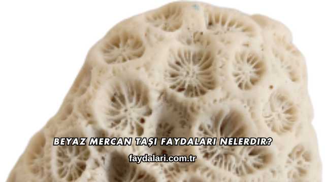 Beyaz Mercan Taşı Faydaları Nelerdir?