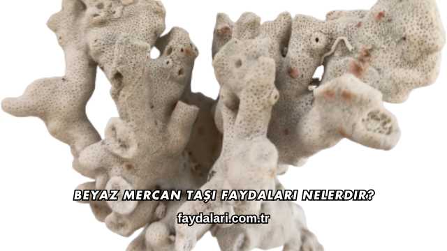 Beyaz Mercan Taşı Faydaları Nelerdir?