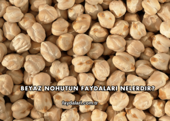 Beyaz Nohutun Faydaları Nelerdir?