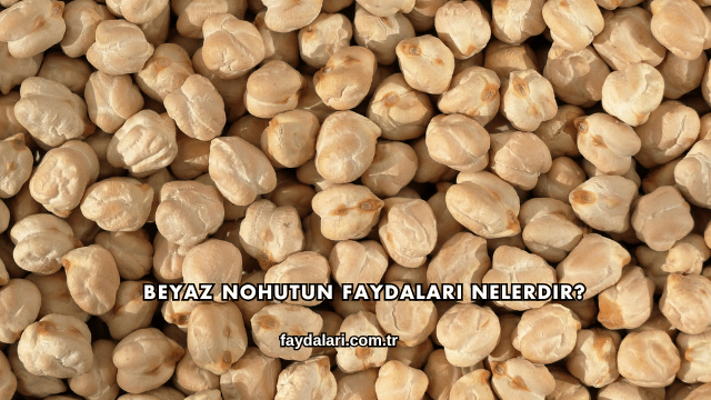 Beyaz Nohutun Faydaları Nelerdir?