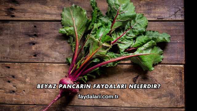 Beyaz Pancarın Faydaları Nelerdir?