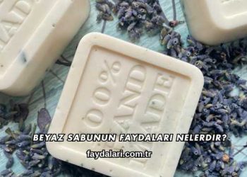 Beyaz Sabunun Faydaları Nelerdir?