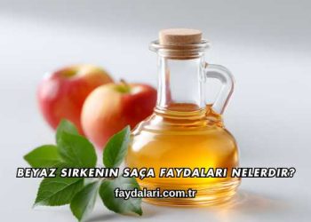 Beyaz Sirkenin Saça Faydaları Nelerdir?