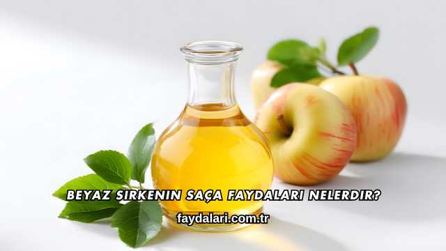 Beyaz Sirkenin Saça Faydaları Nelerdir?