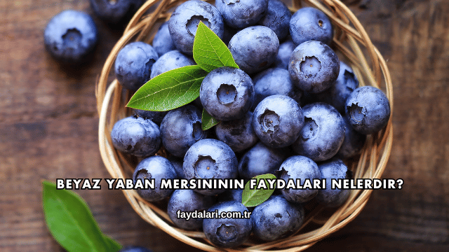 Beyaz Yaban Mersininin Faydaları Nelerdir?
