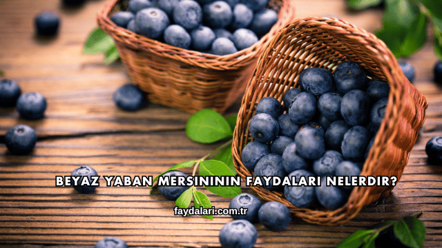 Beyaz Yaban Mersininin Faydaları Nelerdir?