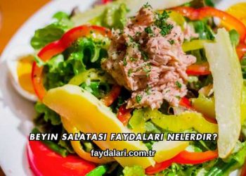 Beyin Salatası Faydaları Nelerdir?