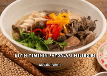 Beyin Yemenin Faydaları Nelerdir?