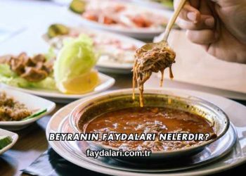 Beyranın Faydaları Nelerdir?