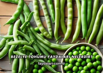 Bezelye Tohumu Faydaları Nelerdir?
