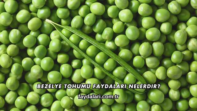 Bezelye Tohumu Faydaları Nelerdir?