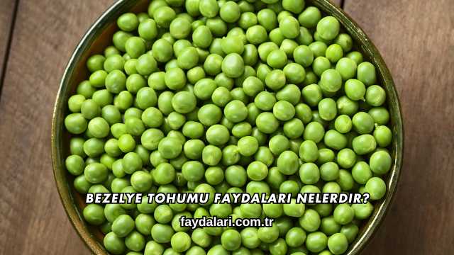 Bezelye Tohumu Faydaları Nelerdir?