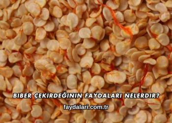 Biber Çekirdeğinin Faydaları Nelerdir?