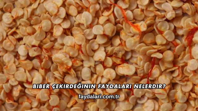 Biber Çekirdeğinin Faydaları Nelerdir?