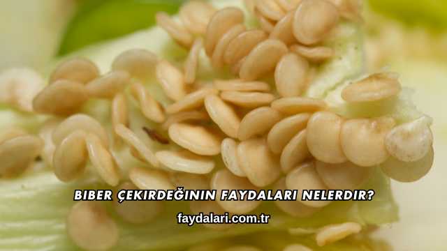 Biber Çekirdeğinin Faydaları Nelerdir?